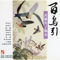 Huang Quan - Bai Niao Yin - Huang Quan Di Zi Du Zou (Instrumental)