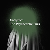The Psychedelic Furs - Evergreen