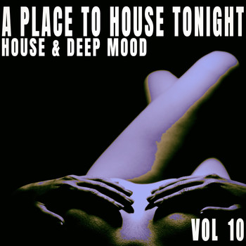 Various Artists - A Place to House Tonight, Vol. 10