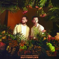 MAX & Ali Gatie - Butterflies (Jean Tonique Remix)