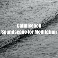 Beach Sounds - Calm Beach Soundscape for Meditation