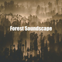 Relaxing Nature Music - Forest Soundscape