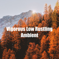 Nature Soundscapes - Vigorous Low Rustling Ambient