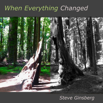 Steve Ginsberg - When Everything Changed