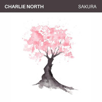 Charlie North - Sakura