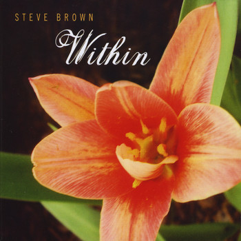 Steve Brown - Within
