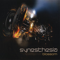 Synesthesia - Blossom