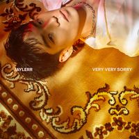 JAYLERR - Very Very Sorry