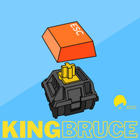 King Bruce - Esc