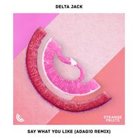 Delta Jack - Say What You Like (ADAG!O Remix)