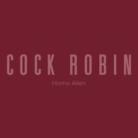 Cock Robin - Bodies On a Bed Sheet