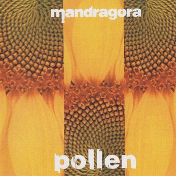 Mandragora - Pollen