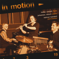 in motion trio - in motion
