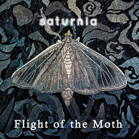 Saturnia - Flight of the Moth