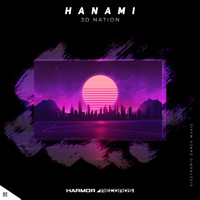 3D Nation - Hanami