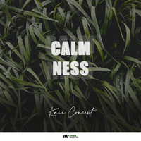 Kaii Concept - Calmness