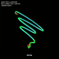 Band Pres Llareggub - Meillionen (FRMAND Remix)