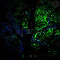 Gibs - Intropical