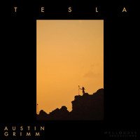 Austin Grimm, Mellodose - Tesla