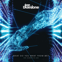 ilan Bluestone feat. Giuseppe de Luca - What Do You Want From Me?