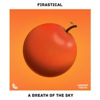 Firastical - silent lake