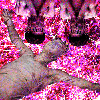 K4 - Apoptosis (Explicit)