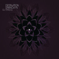 DJ PANDAJ - Destination Unknown (Explicit)