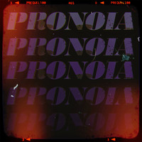 Pronoia - Lenses