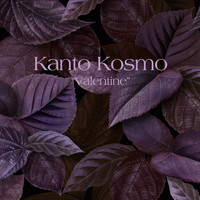 Kanto Kosmo - Valentine