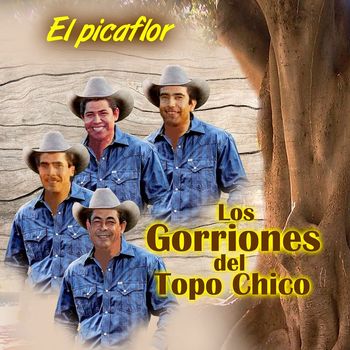 Los Gorriones Del Topo Chico - El Picaflor