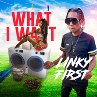 Linky First - What I Want