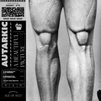 Autarkic - A Beautiful Picture