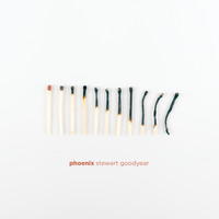 Stewart Goodyear - Phoenix
