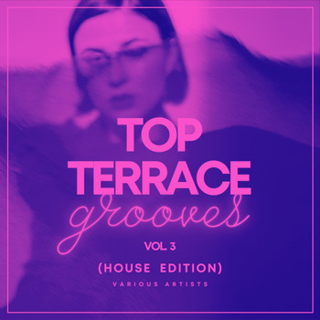 Various Artists - Top Terrace Grooves (House Edition), Vol. 3