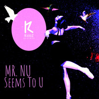 MR.NU - Seems To U