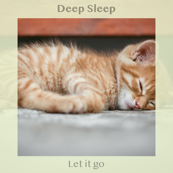 Deep Sleep - Let It Go