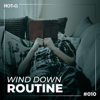 Various Artists - Wind Down Routine 010