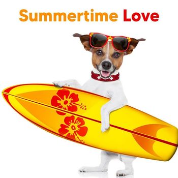 Various Artists - Summertime Love