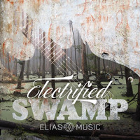 Ryan Rehm, Paul Christopher Otten - Electrified Swamp