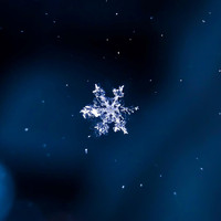 Polar - On Purpose (Explicit)
