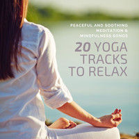 Ashtanga Vinyasa Yoga - 20 Yoga Tracks to Relax: Peaceful and Soothing Meditation & Mindfulness Songs