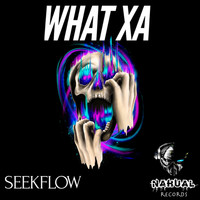 SeekFlow - What Xa