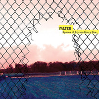 Valter - Spaces of Extraordinary Size