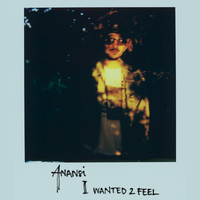 Anansi - I Wanted 2 Feel
