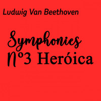 Orquesta Música Maravillosa - Ludwig Van Beethoven Sinfonia nº3 Heroica