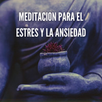 Musica para Meditar - Meditación para el Estrés y la Asiedad