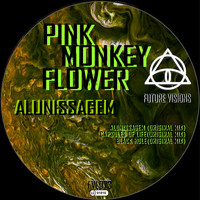Pink Monkey Flower - Alunissagem