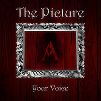 The Picture - Your Voice