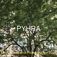 PYHRA - Main Street and Flowers After Rain