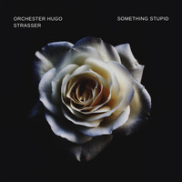 Orchester Hugo Strasser - Something Stupid